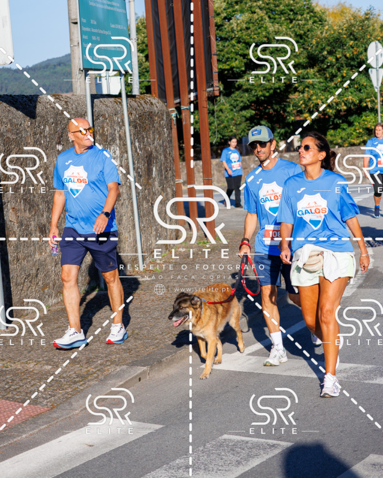 Preview com marca de água da fotografia galos-296