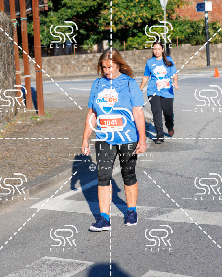 Preview com marca de água da fotografia galos-298