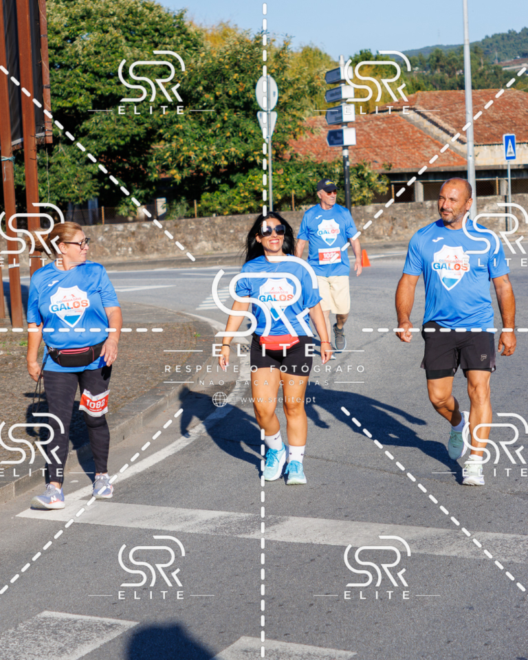 Preview com marca de água da fotografia galos-300