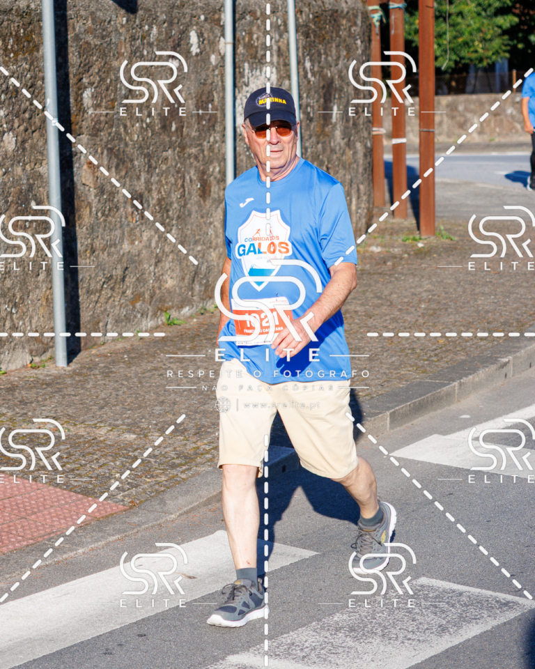 Preview com marca de água da fotografia galos-301