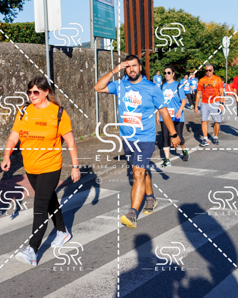 Preview com marca de água da fotografia galos-303