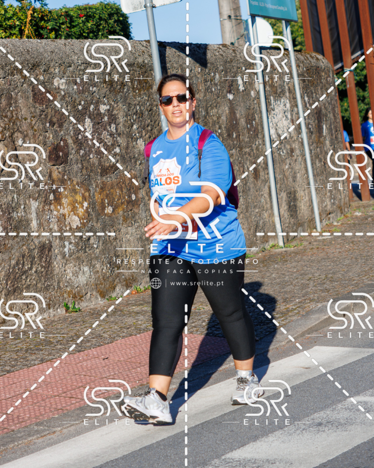 Preview com marca de água da fotografia galos-304