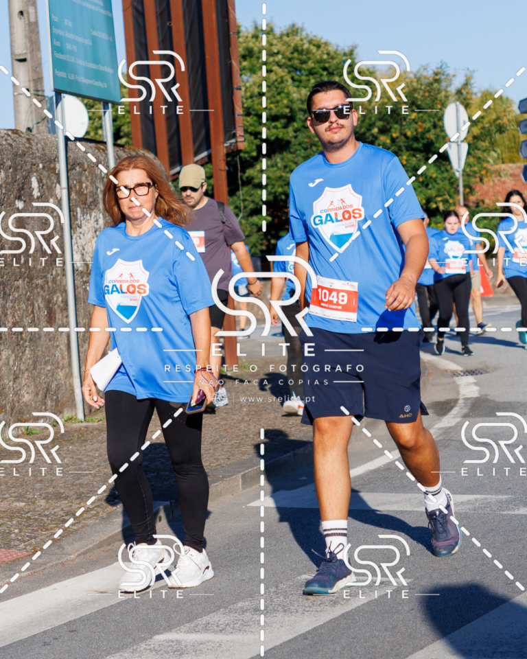 Preview com marca de água da fotografia galos-305
