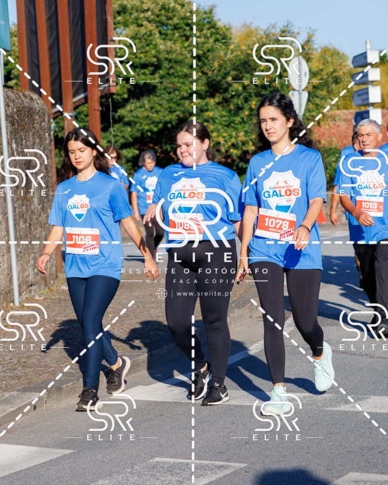 Preview com marca de água da fotografia galos-306
