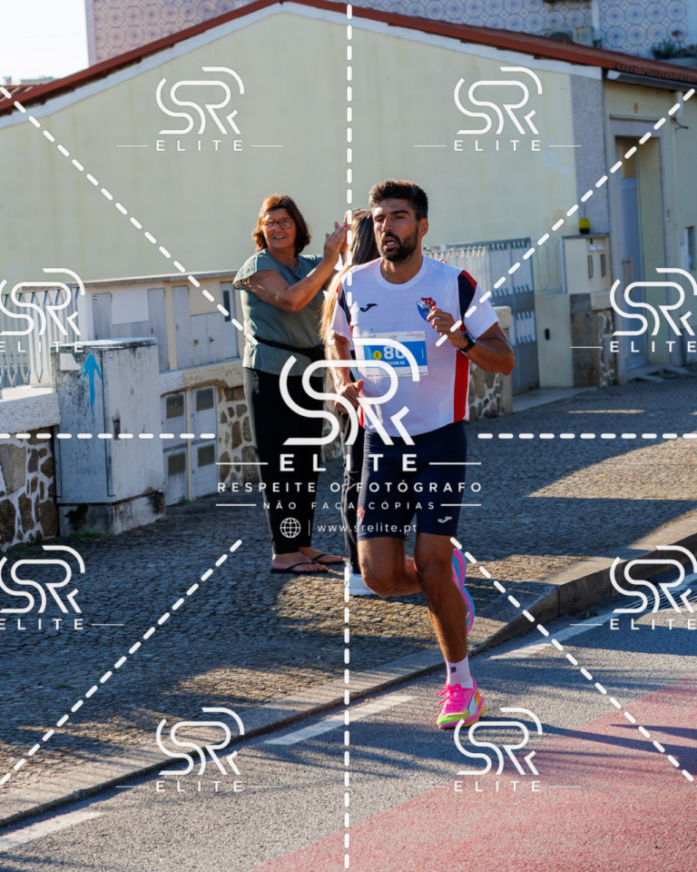 Preview com marca de água da fotografia galos-309