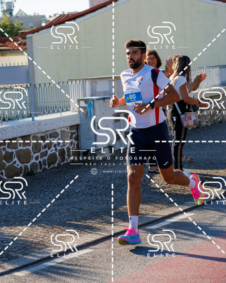 Preview com marca de água da fotografia galos-310