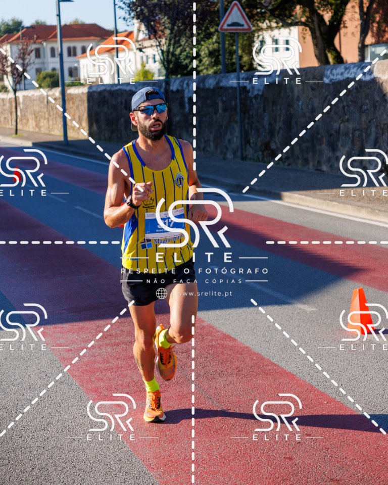 Preview com marca de água da fotografia galos-319