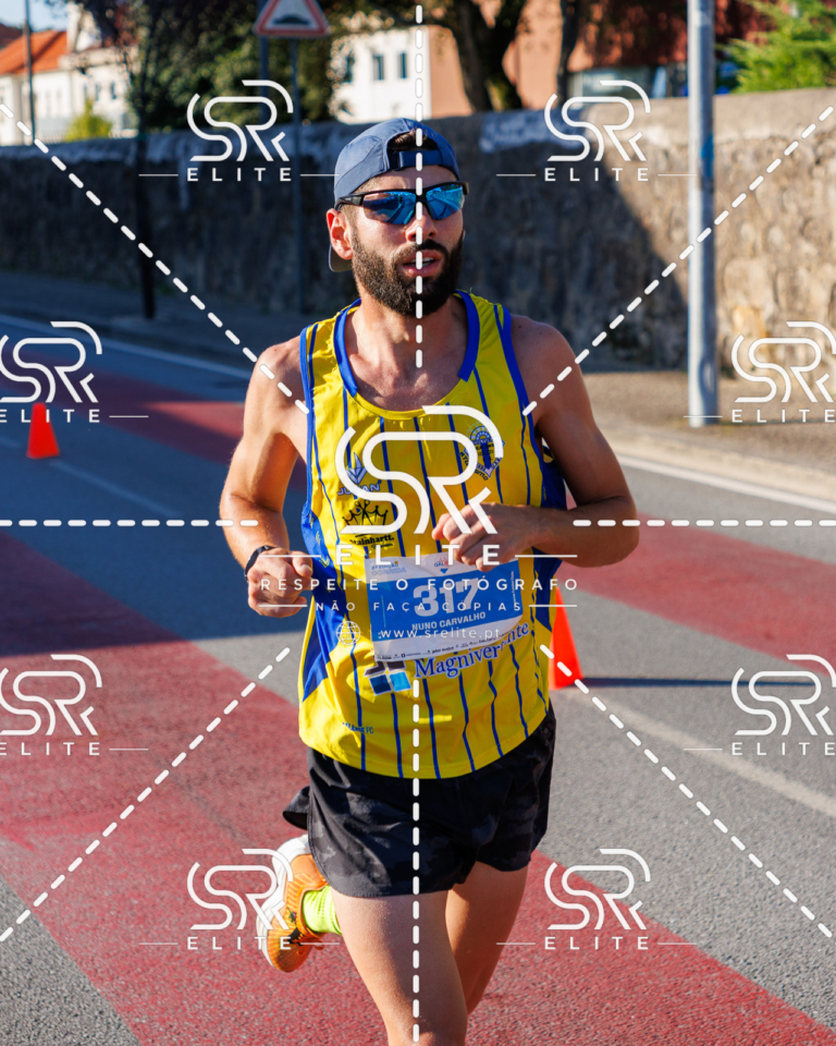 Preview com marca de água da fotografia galos-320