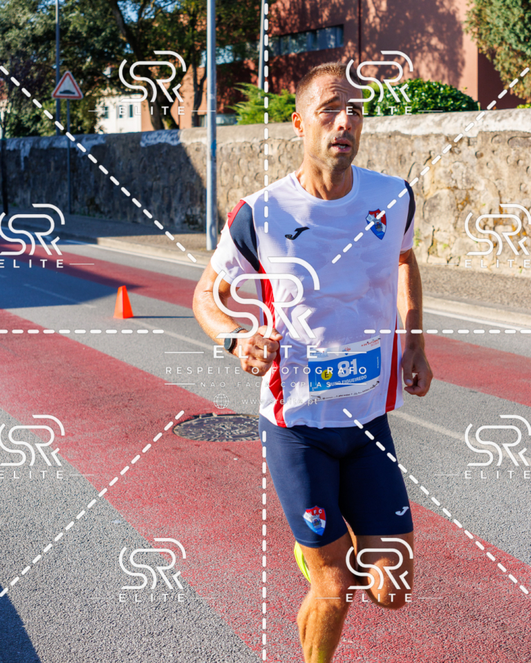 Preview com marca de água da fotografia galos-323