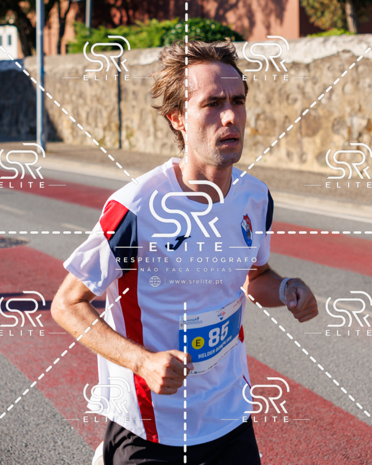 Preview com marca de água da fotografia galos-325