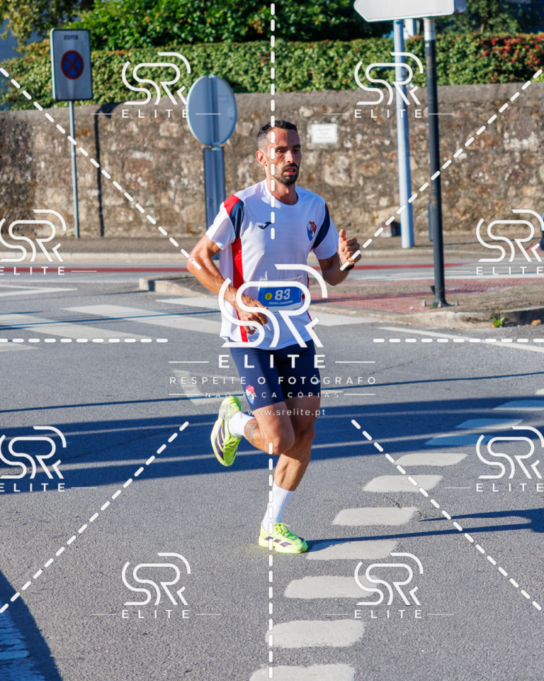 Preview com marca de água da fotografia galos-330