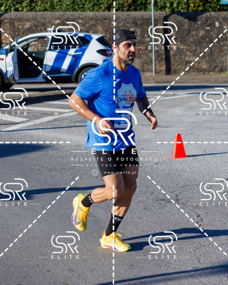 Preview com marca de água da fotografia galos-334