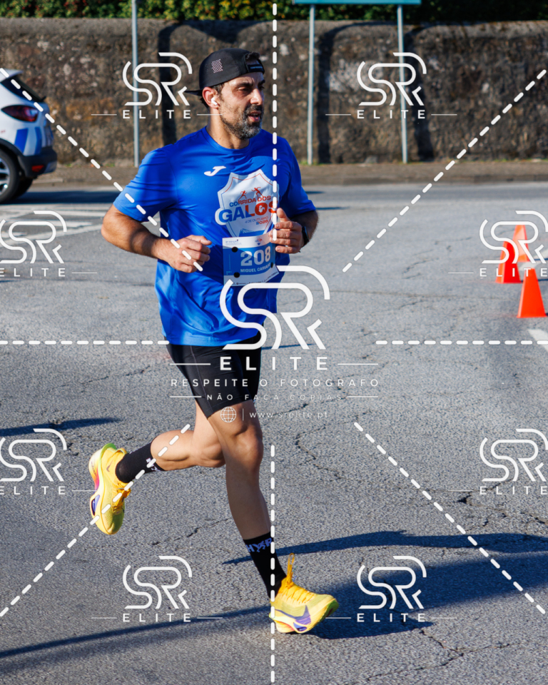 Preview com marca de água da fotografia galos-335