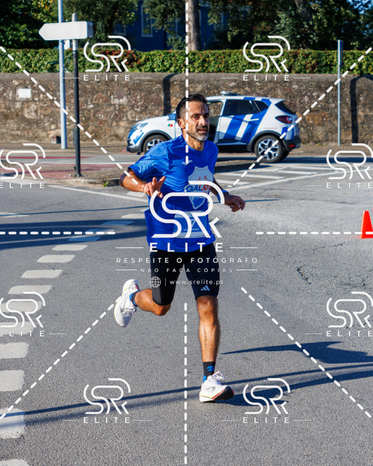 Preview com marca de água da fotografia galos-338