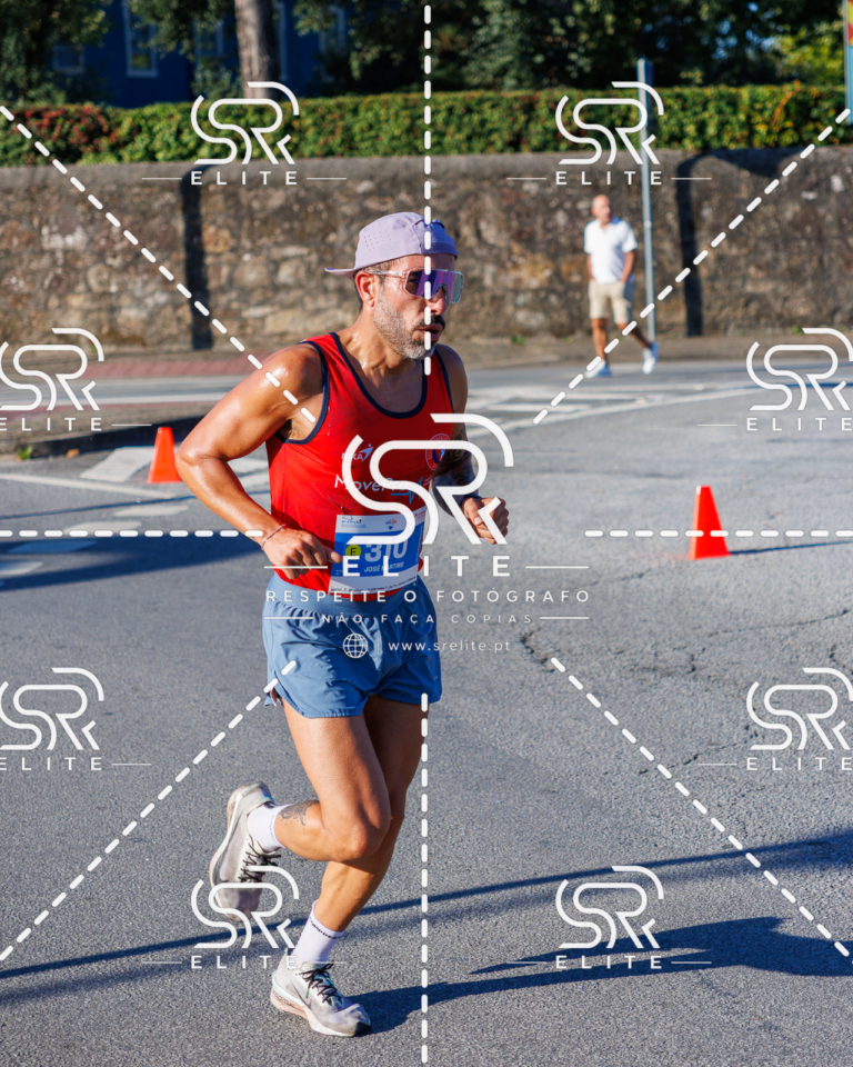 Preview com marca de água da fotografia galos-353