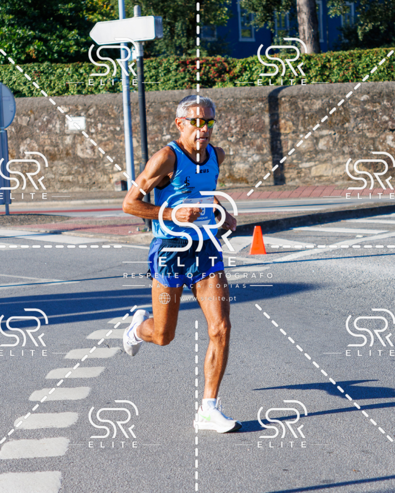 Preview com marca de água da fotografia galos-364