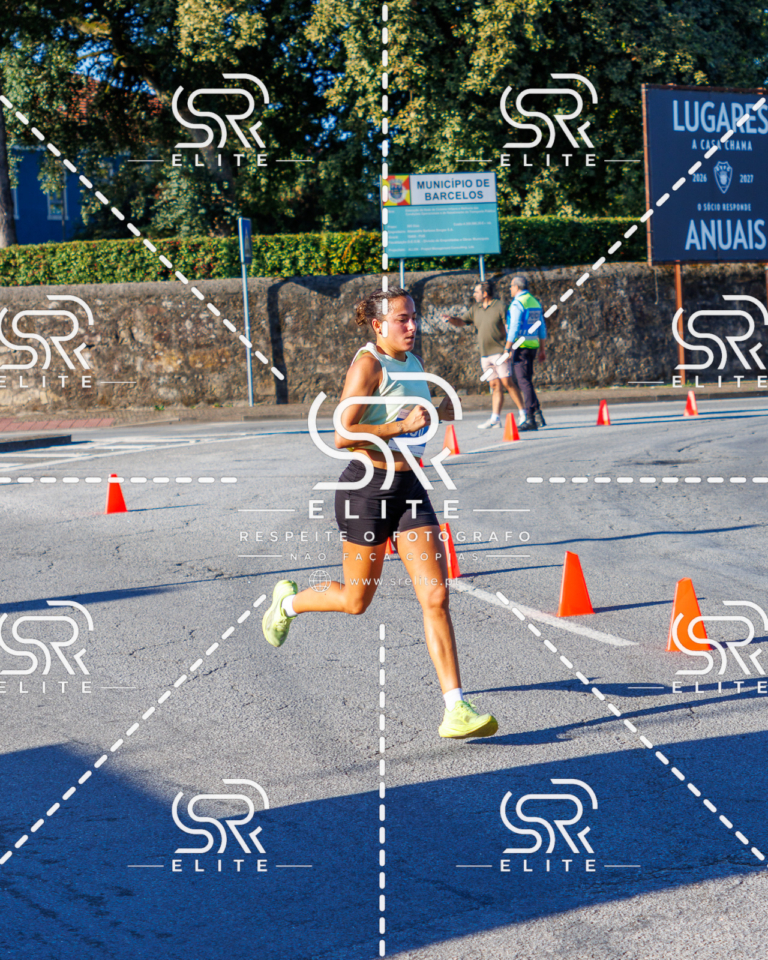 Preview com marca de água da fotografia galos-369