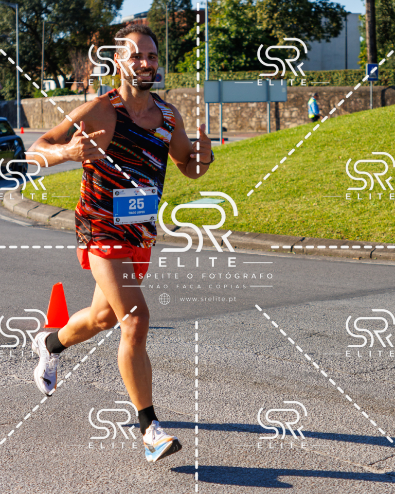Preview com marca de água da fotografia galos-383