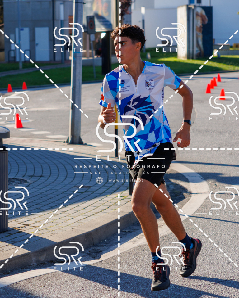 Preview com marca de água da fotografia galos-400