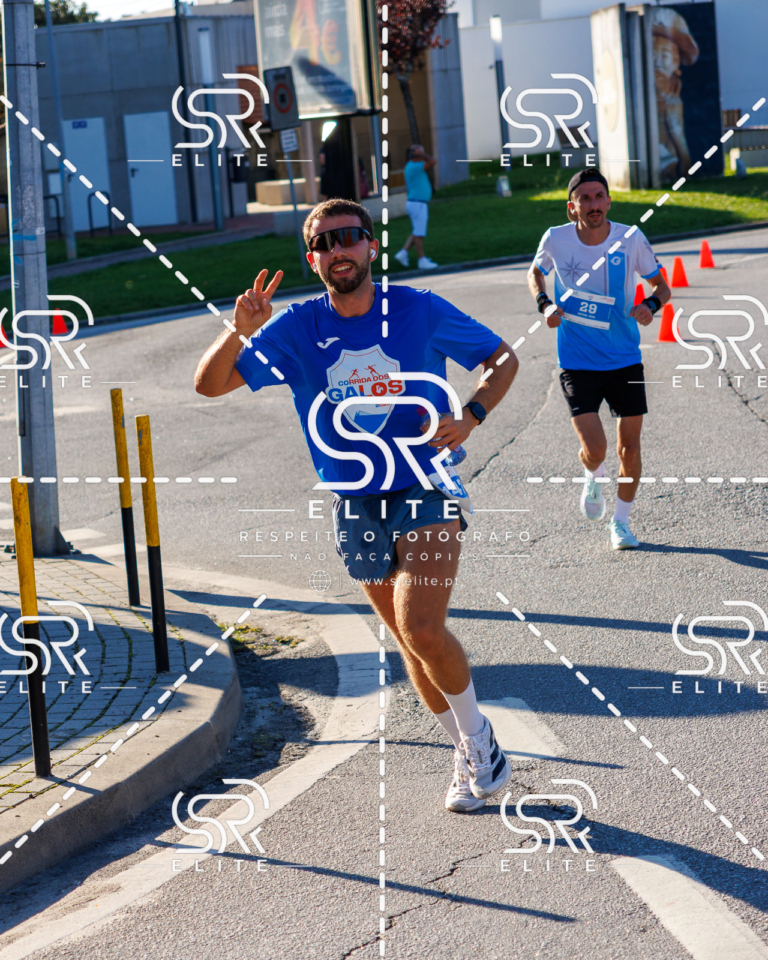 Preview com marca de água da fotografia galos-410