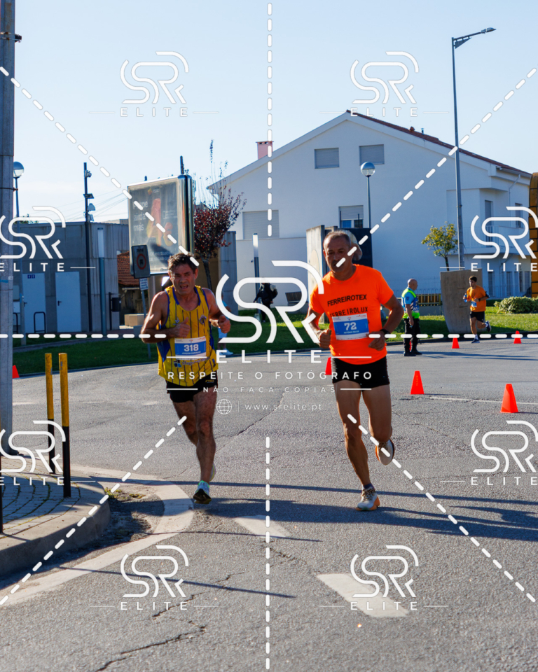 Preview com marca de água da fotografia galos-415