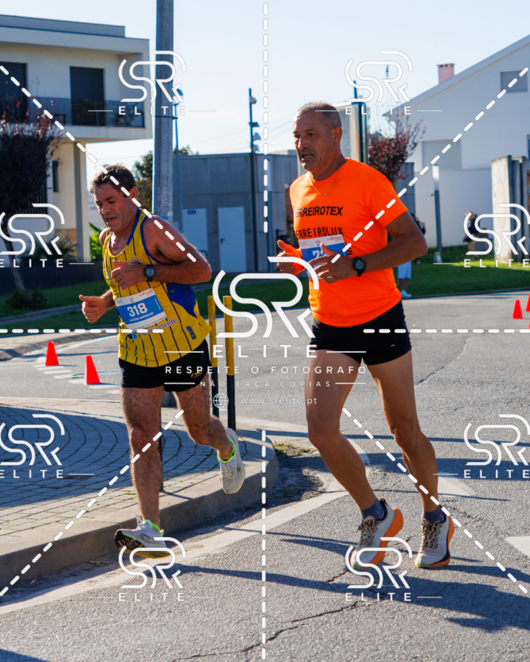 Preview com marca de água da fotografia galos-416