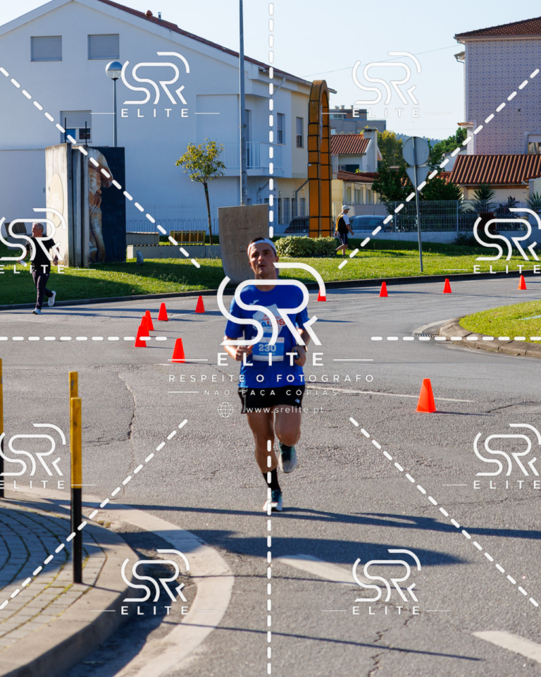 Preview com marca de água da fotografia galos-426