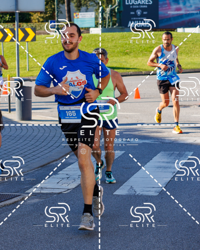 Preview com marca de água da fotografia galos-434