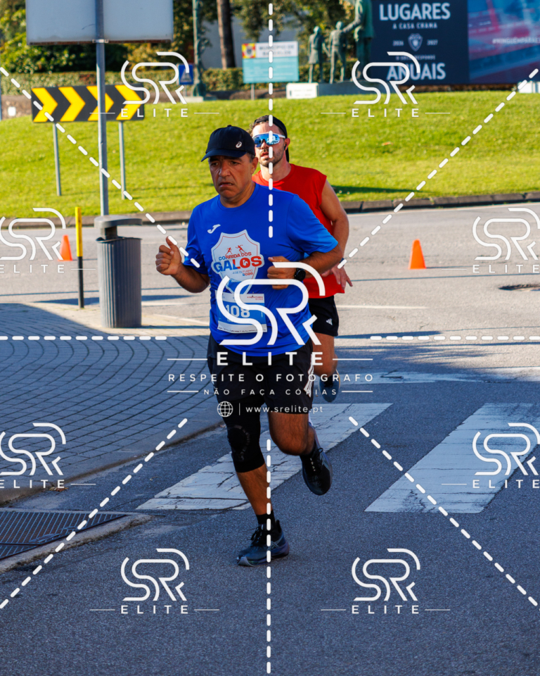 Preview com marca de água da fotografia galos-439