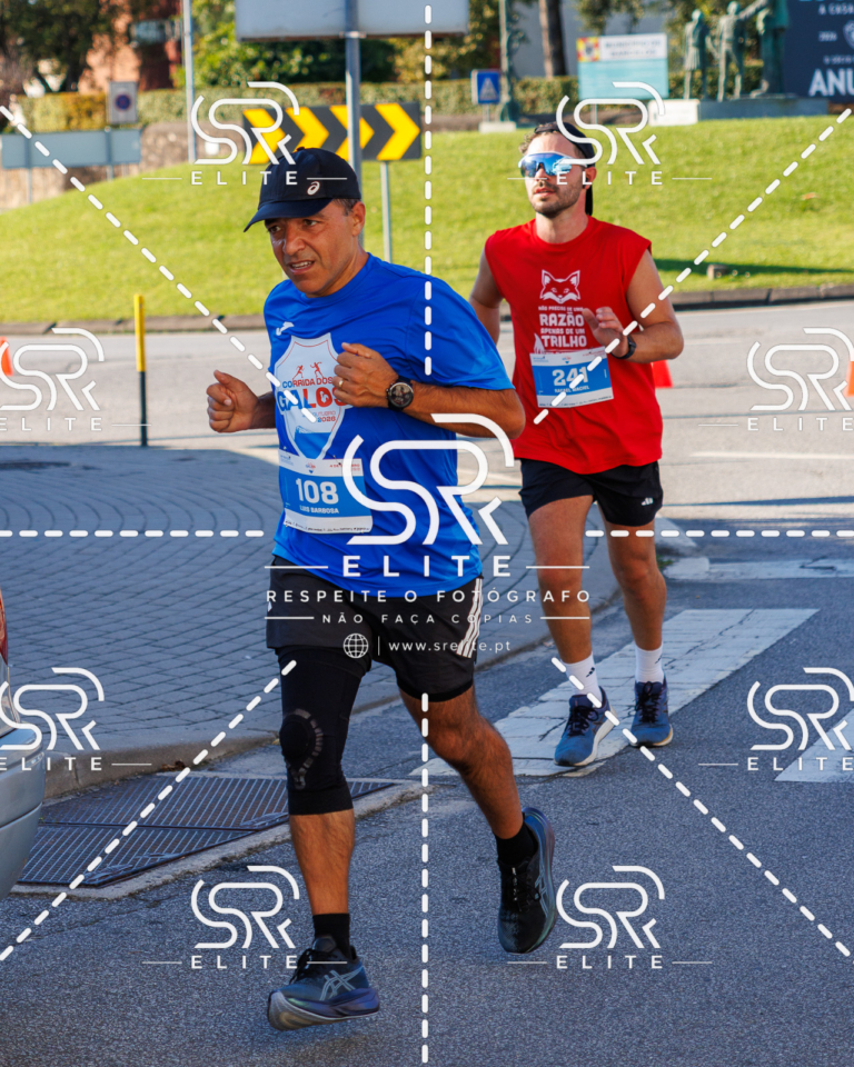 Preview com marca de água da fotografia galos-440
