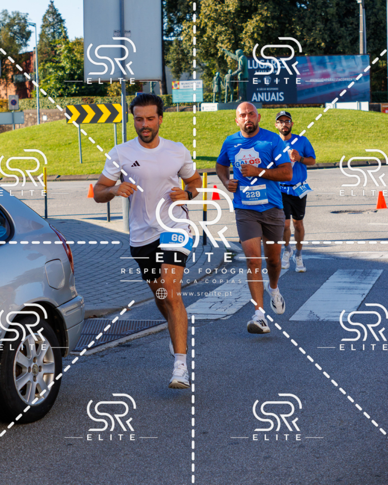 Preview com marca de água da fotografia galos-442