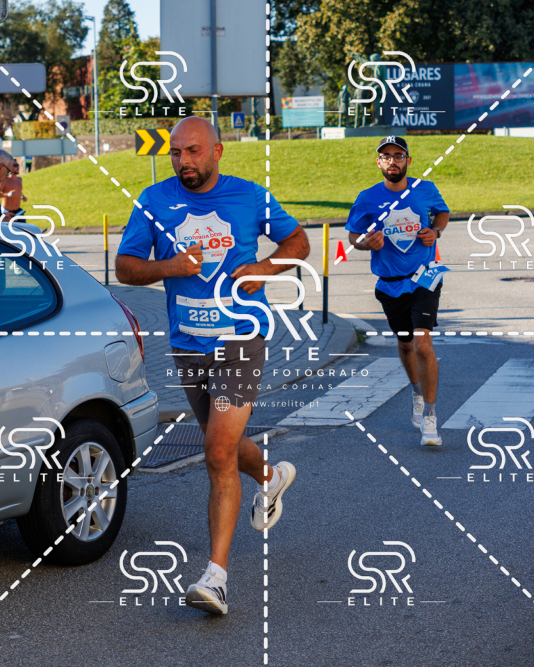 Preview com marca de água da fotografia galos-443