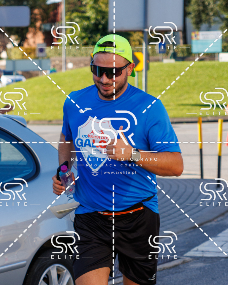 Preview com marca de água da fotografia galos-449