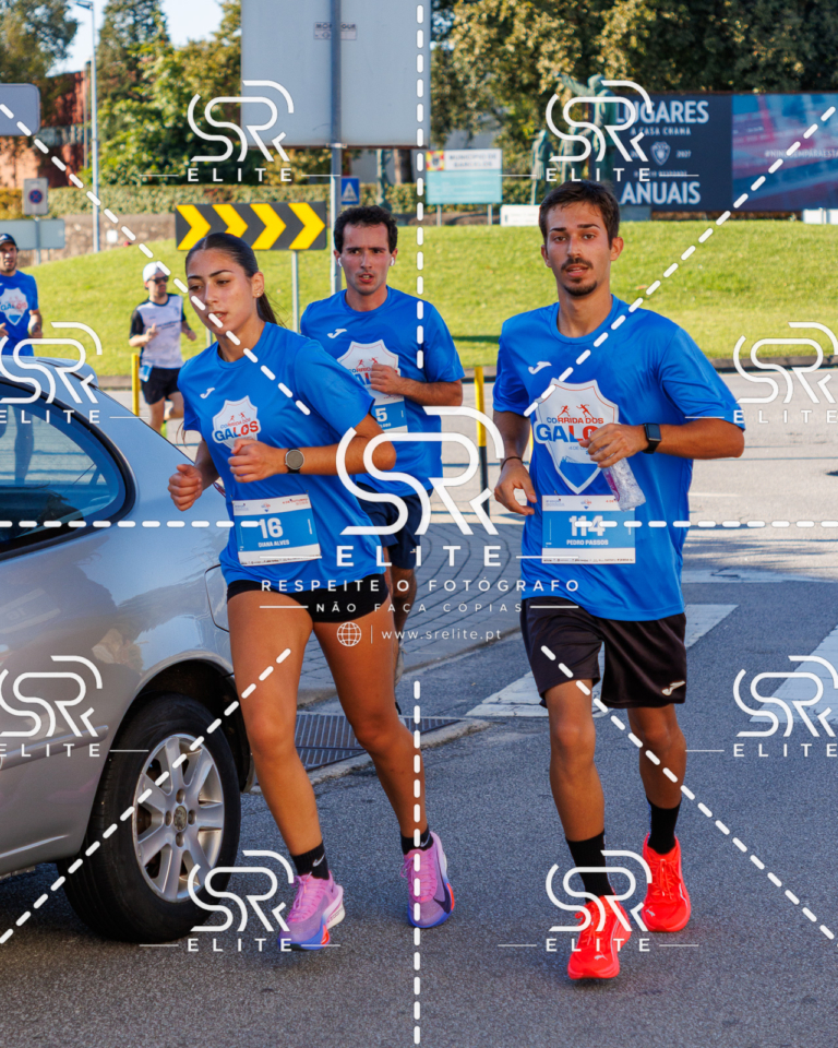 Preview com marca de água da fotografia galos-463