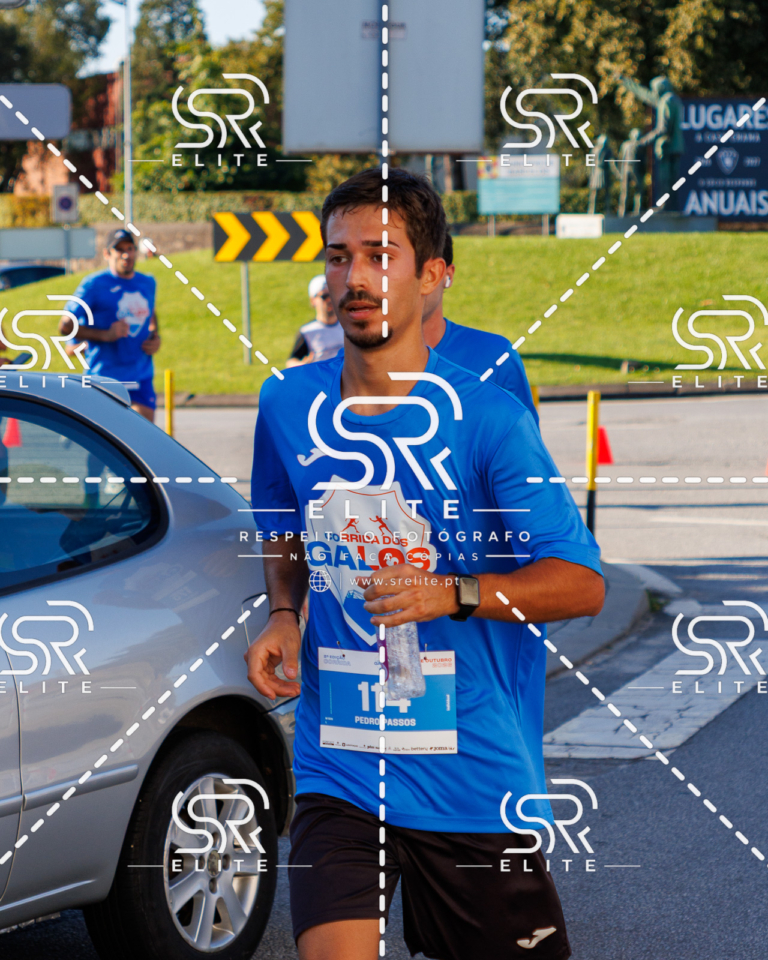 Preview com marca de água da fotografia galos-464
