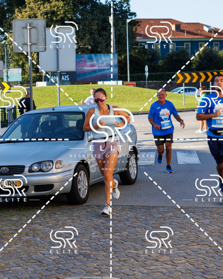 Preview com marca de água da fotografia galos-475