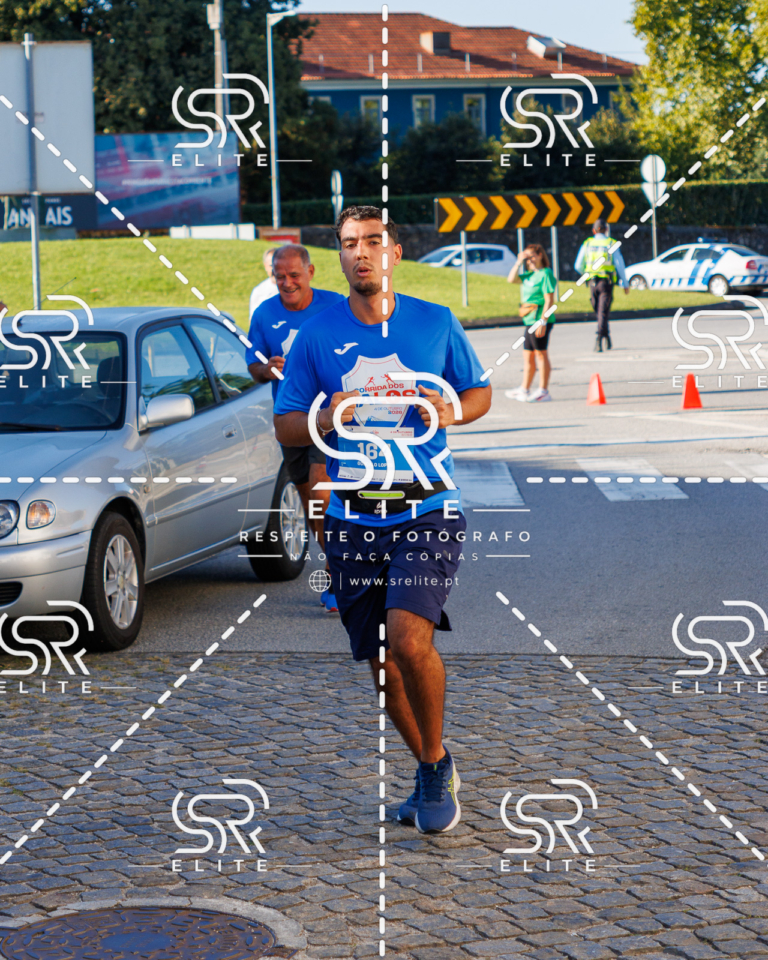 Preview com marca de água da fotografia galos-476