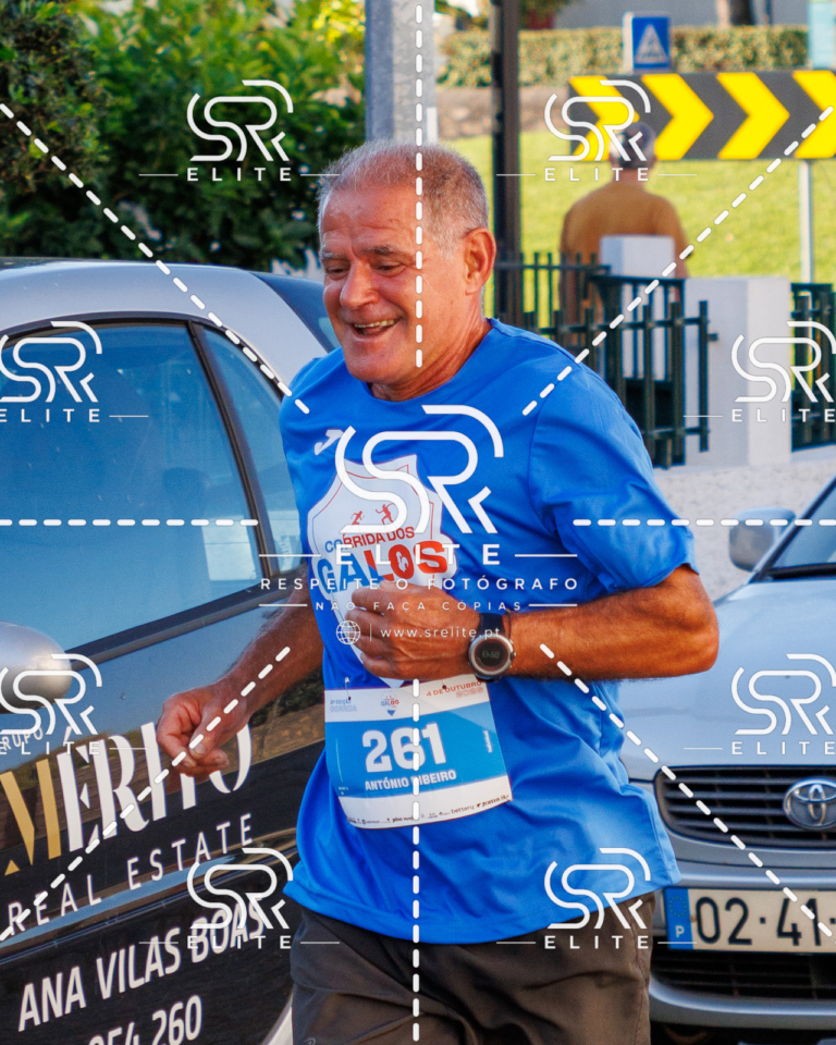 Preview com marca de água da fotografia galos-477