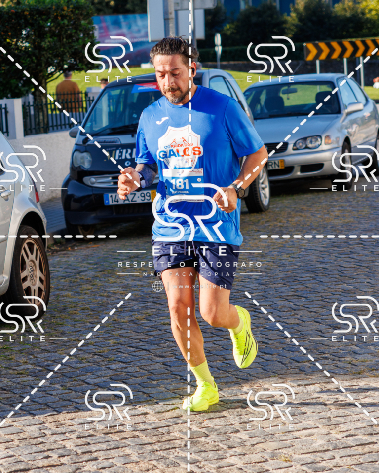 Preview com marca de água da fotografia galos-481