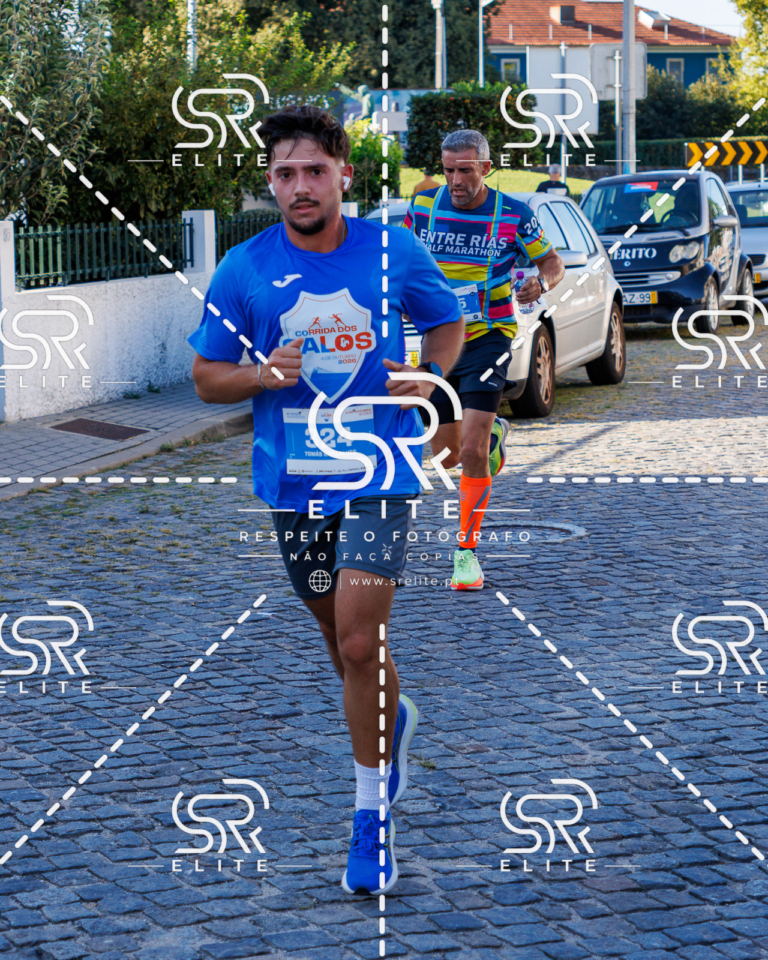 Preview com marca de água da fotografia galos-482
