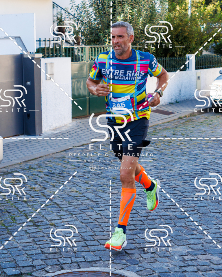 Preview com marca de água da fotografia galos-483