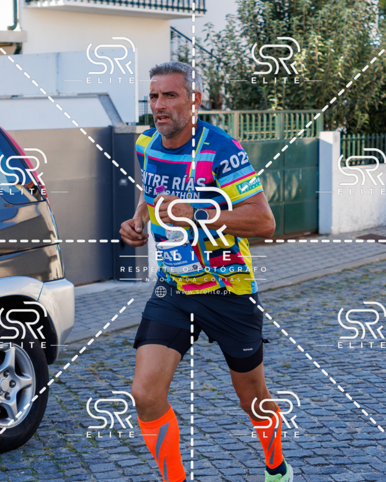 Preview com marca de água da fotografia galos-484