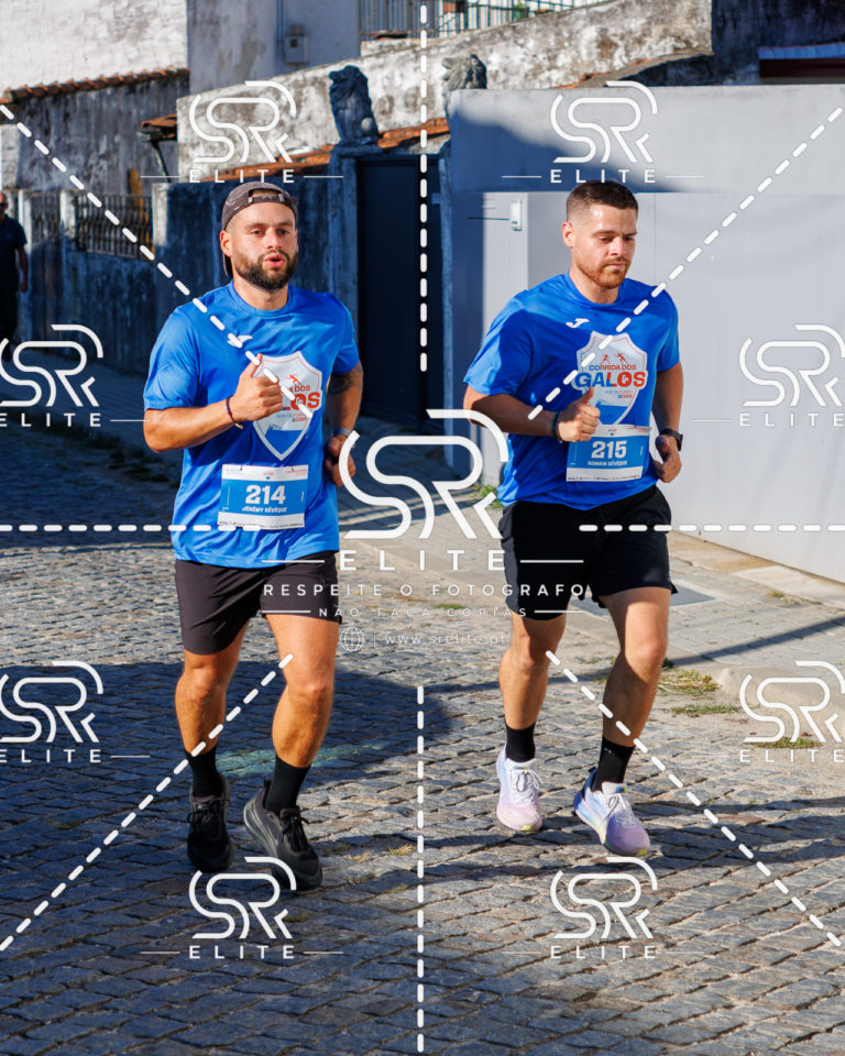 Preview com marca de água da fotografia galos-488