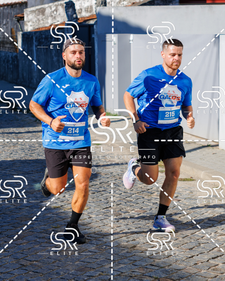 Preview com marca de água da fotografia galos-489