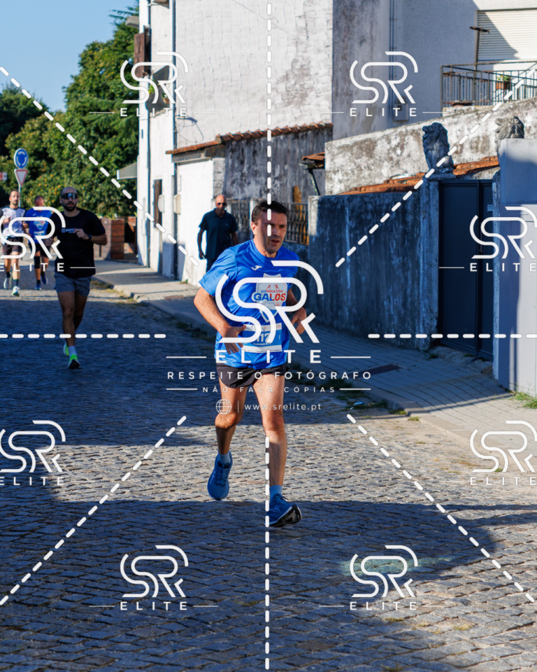 Preview com marca de água da fotografia galos-490