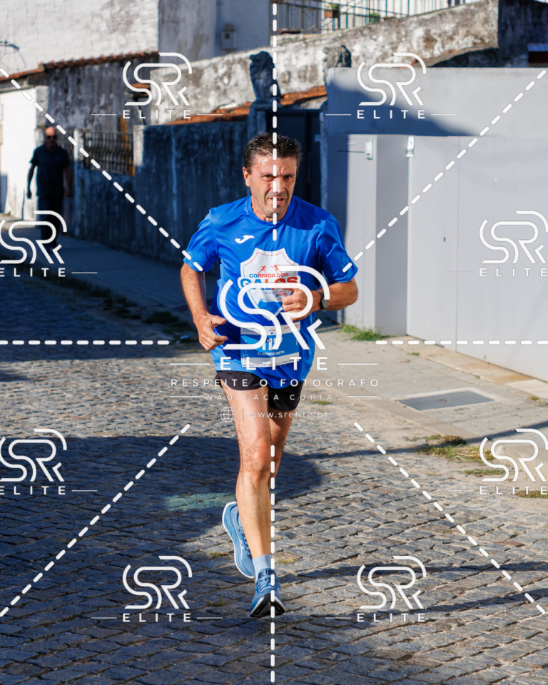 Preview com marca de água da fotografia galos-491