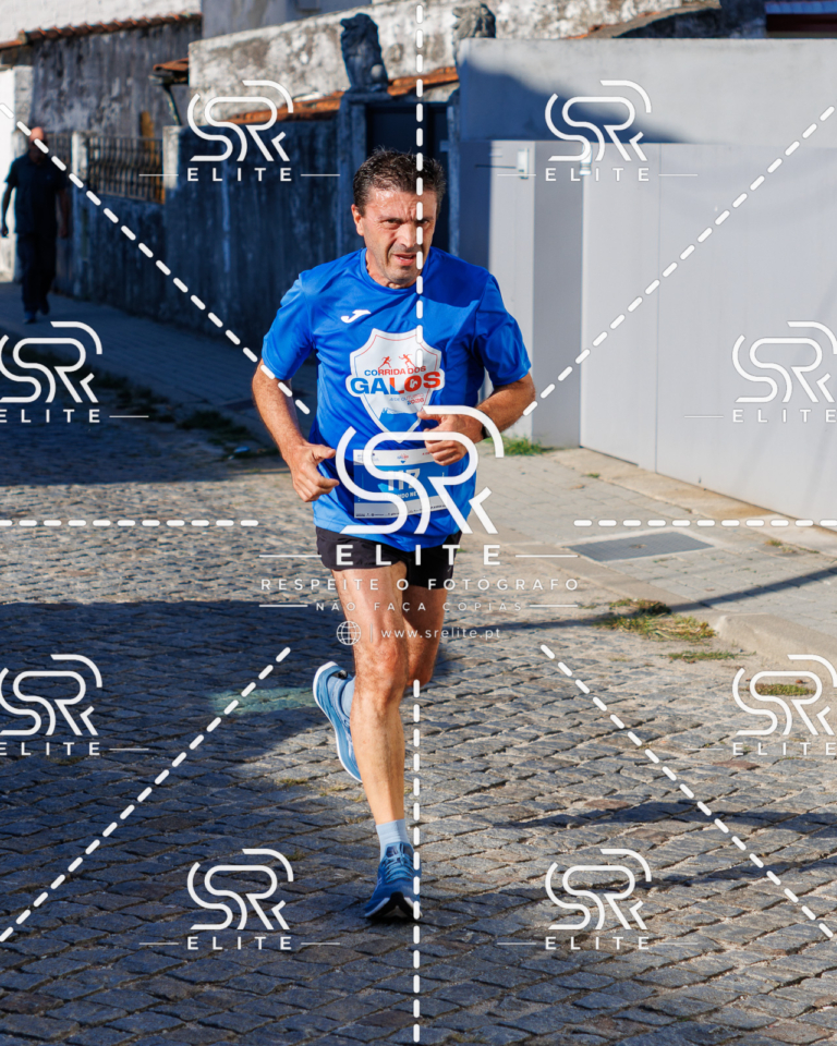 Preview com marca de água da fotografia galos-492