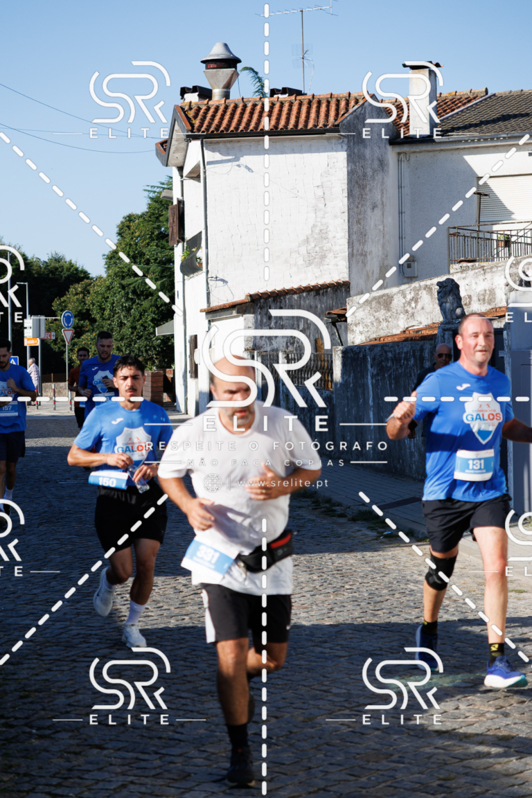 Preview com marca de água da fotografia galos-496