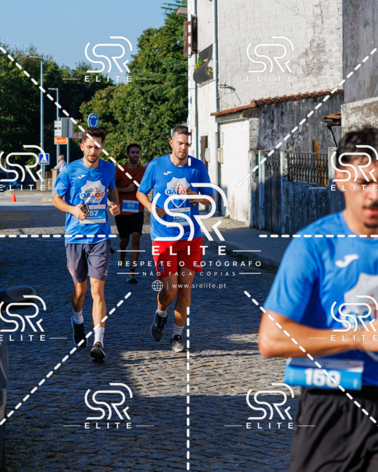 Preview com marca de água da fotografia galos-497