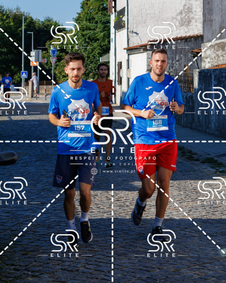 Preview com marca de água da fotografia galos-498
